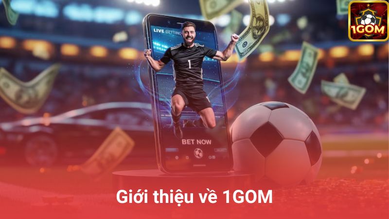 Giới thiệu về 1GOM